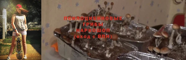 амф Алексеевка