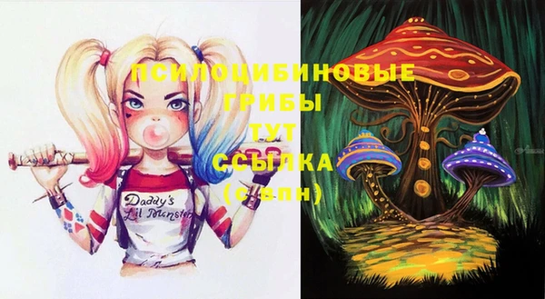 spice Алексин