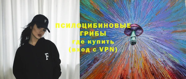 прущий лед Костерёво