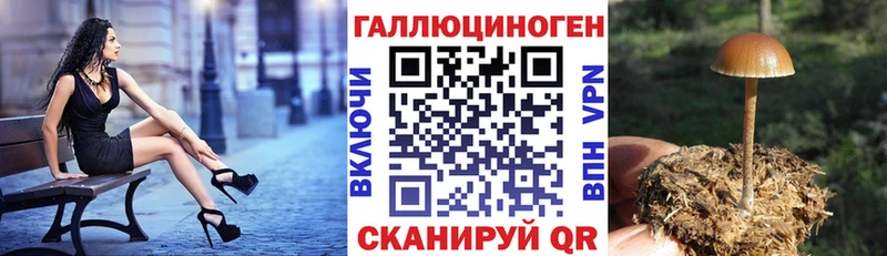 Псилоцибиновые грибы прущие грибы  Тайшет 