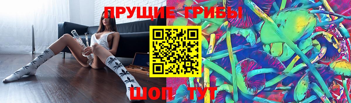 Галлюциногенные грибы мицелий  Вход с VPN  Тайшет  Галлюциногенные грибы Cubensis 