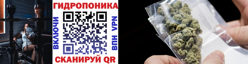 кракен вход  Тайшет  МАРИХУАНА Amnesia 